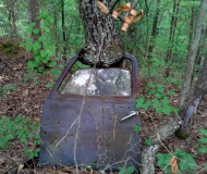 Carroll County Historical Site