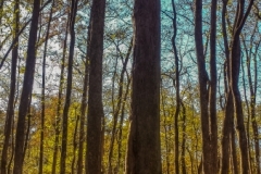 20141107_141103
