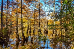 20161101_101418
