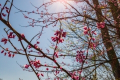 20180322_141338