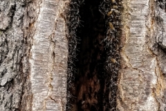 20180425_151859