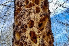 20190110_130114-3