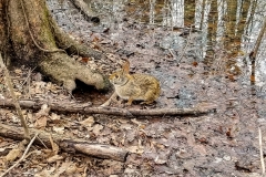 20190116_151303-4