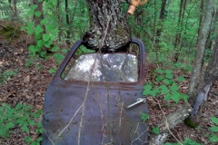 Carroll County Historical Site