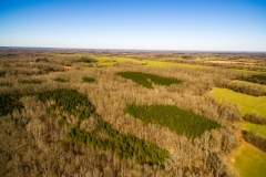 DJI_0174