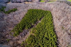 DJI_0180-3