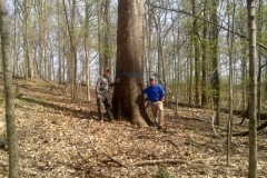 Henry County Hardwoods