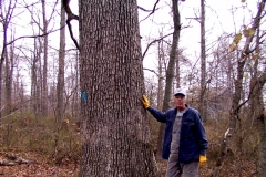 Robertson Co. Client
