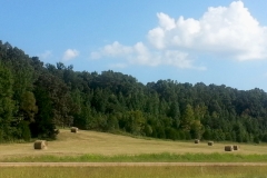 Tennessee Woodlots