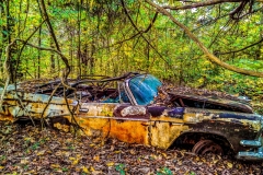 WP_000317-2